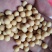 黄芽豆芽豆小粒黄豆发芽率高。品质保证