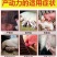 1产动力~缩短产程2小时，母猪产程长憋死小猪怎么办？