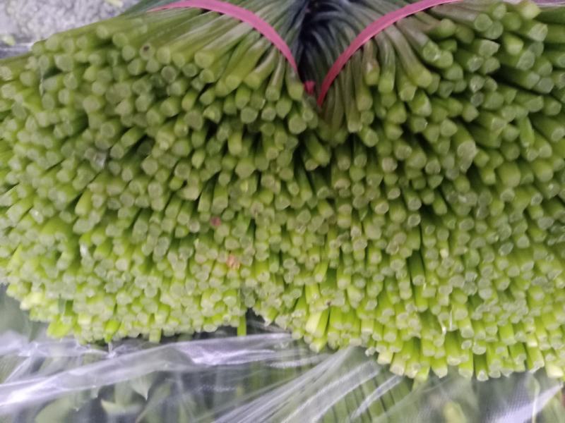 韮苔大量上市有需要的新老朋友前来选购，价格随行就市。