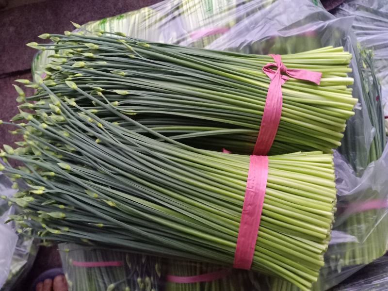 韮苔大量上市有需要的新老朋友前来选购，价格随行就市。