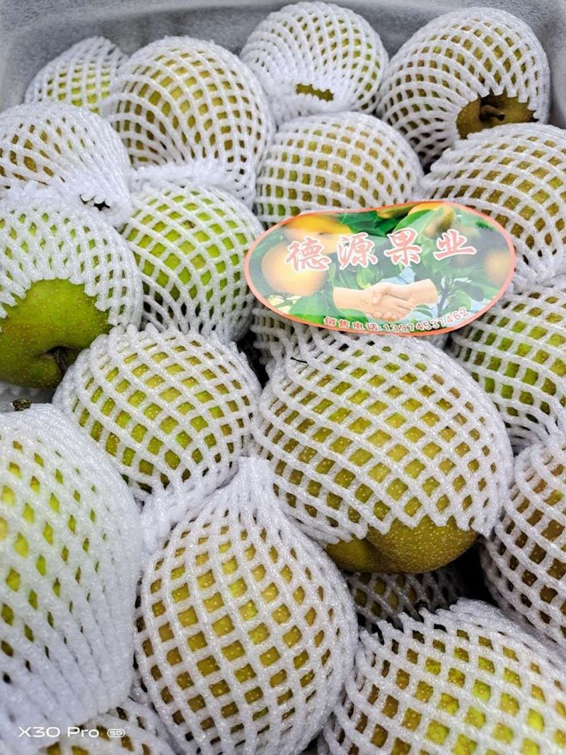 梨/黄梨/翠冠梨/甜度高汁水足/湖北襄阳产地直销对接全国