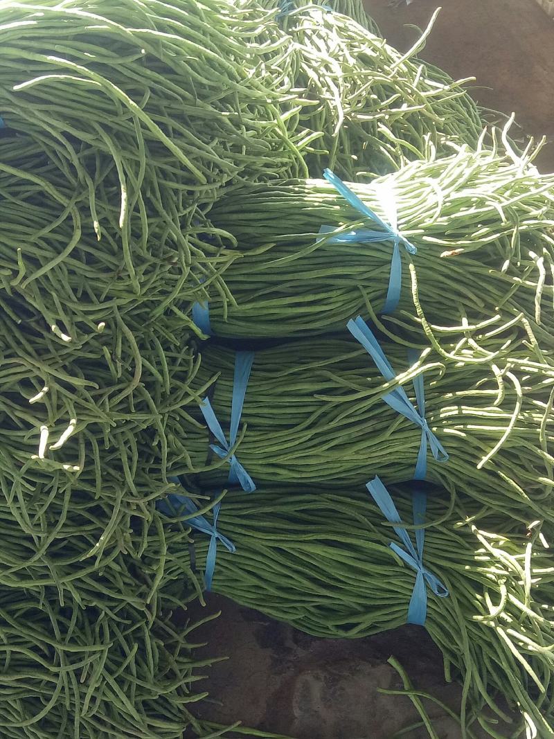 精品长豆角，质量好，价格低