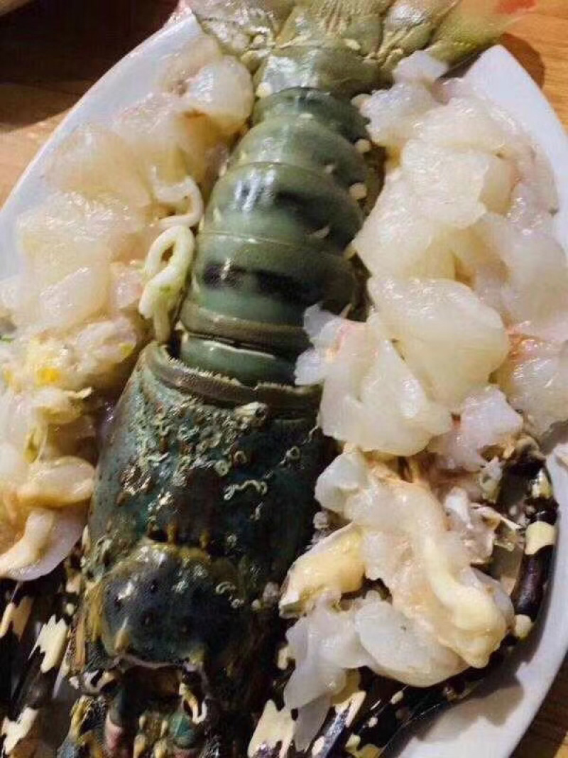 高端食材龙虾刺身酒席龙虾，个个鲜美，
