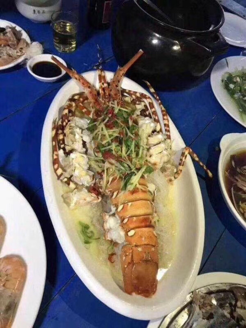 高端食材龙虾刺身酒席龙虾，个个鲜美，