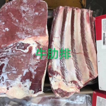 牛肋排，瘦，质量保证，现货，价格低量大可议价