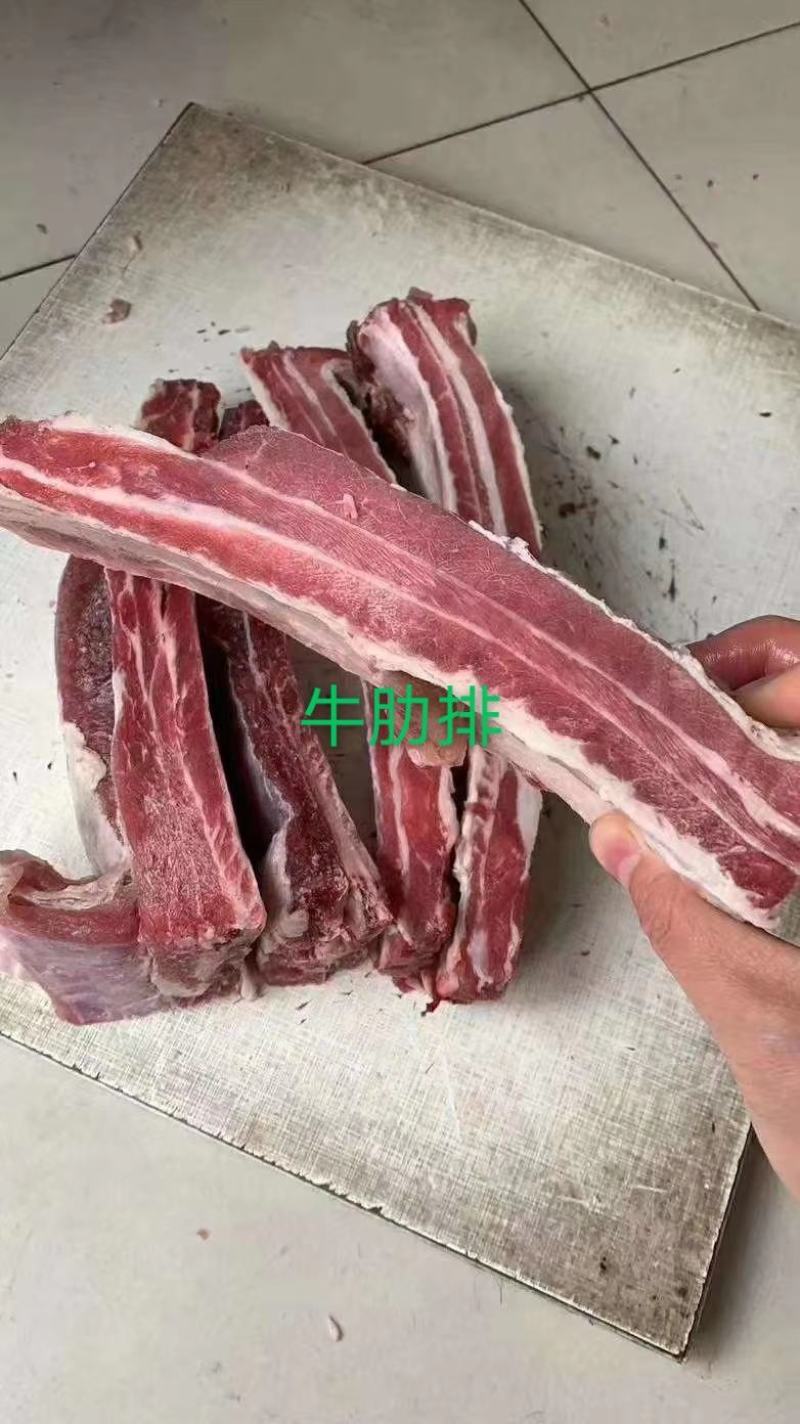 牛肋排，瘦，质量保证，现货，价格低量大可议价