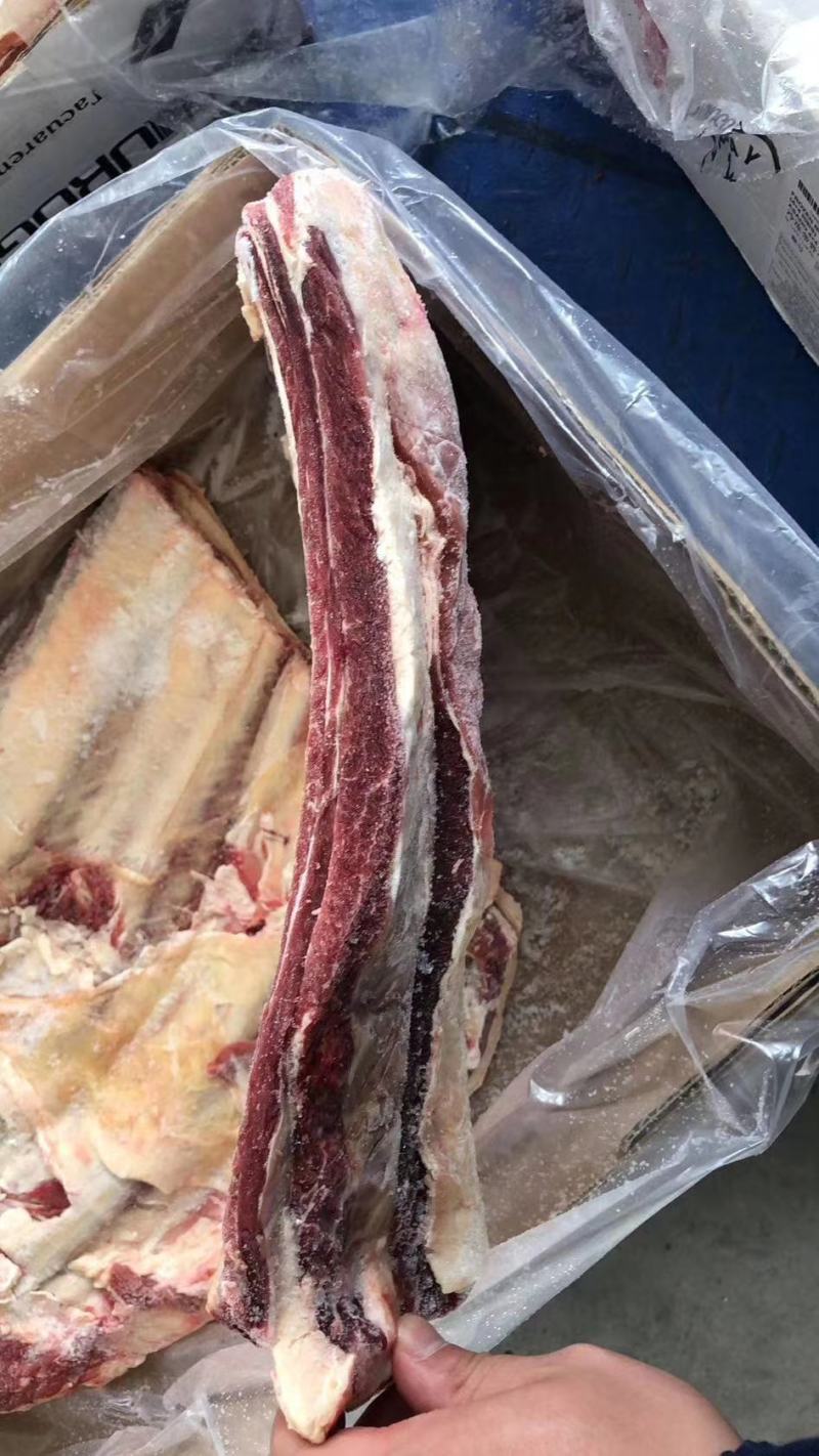 牛肋排，瘦，质量保证，现货，价格低量大可议价