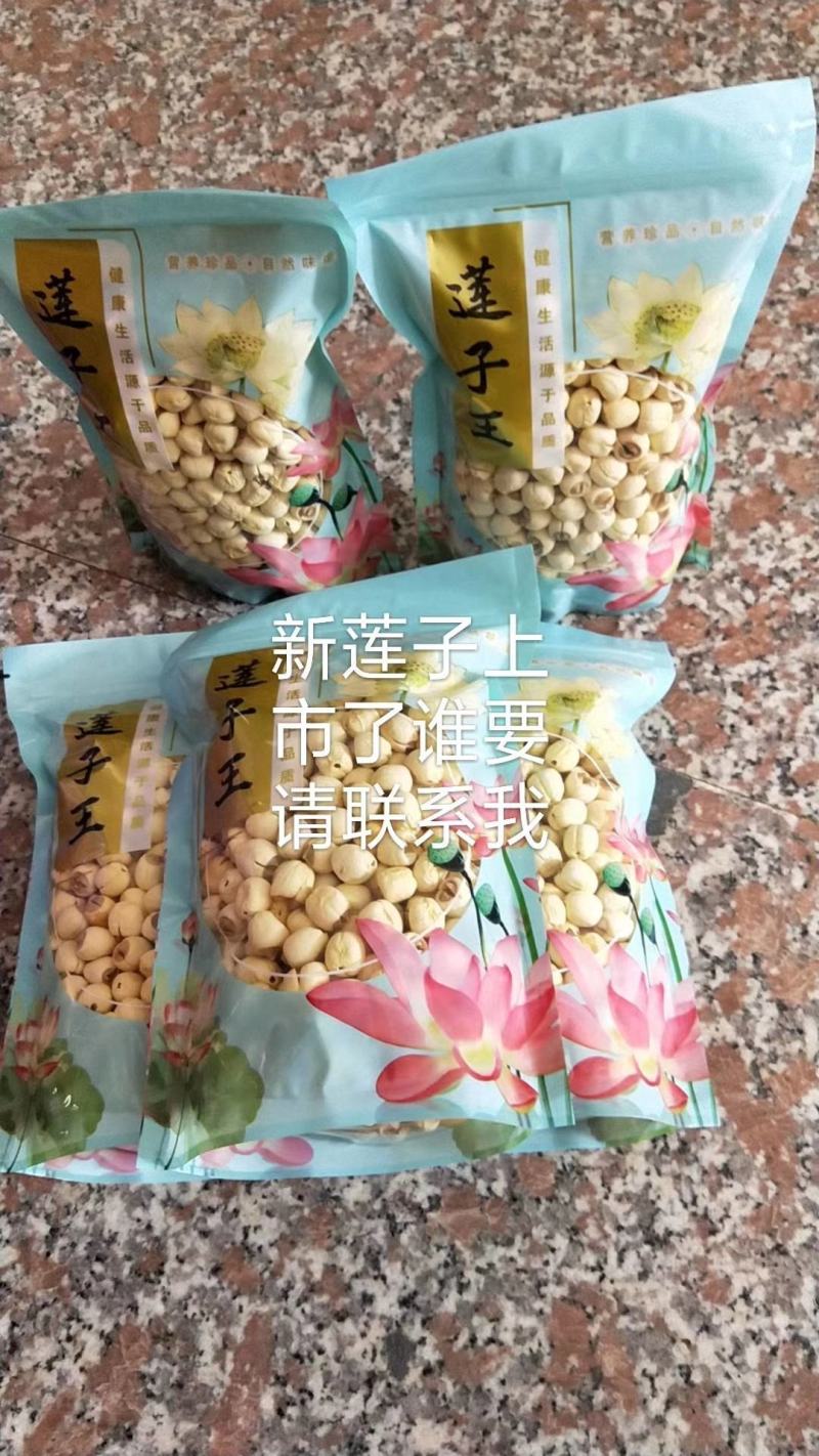 莲子/武夷山白莲/干莲子/精挑白莲干货，批发价