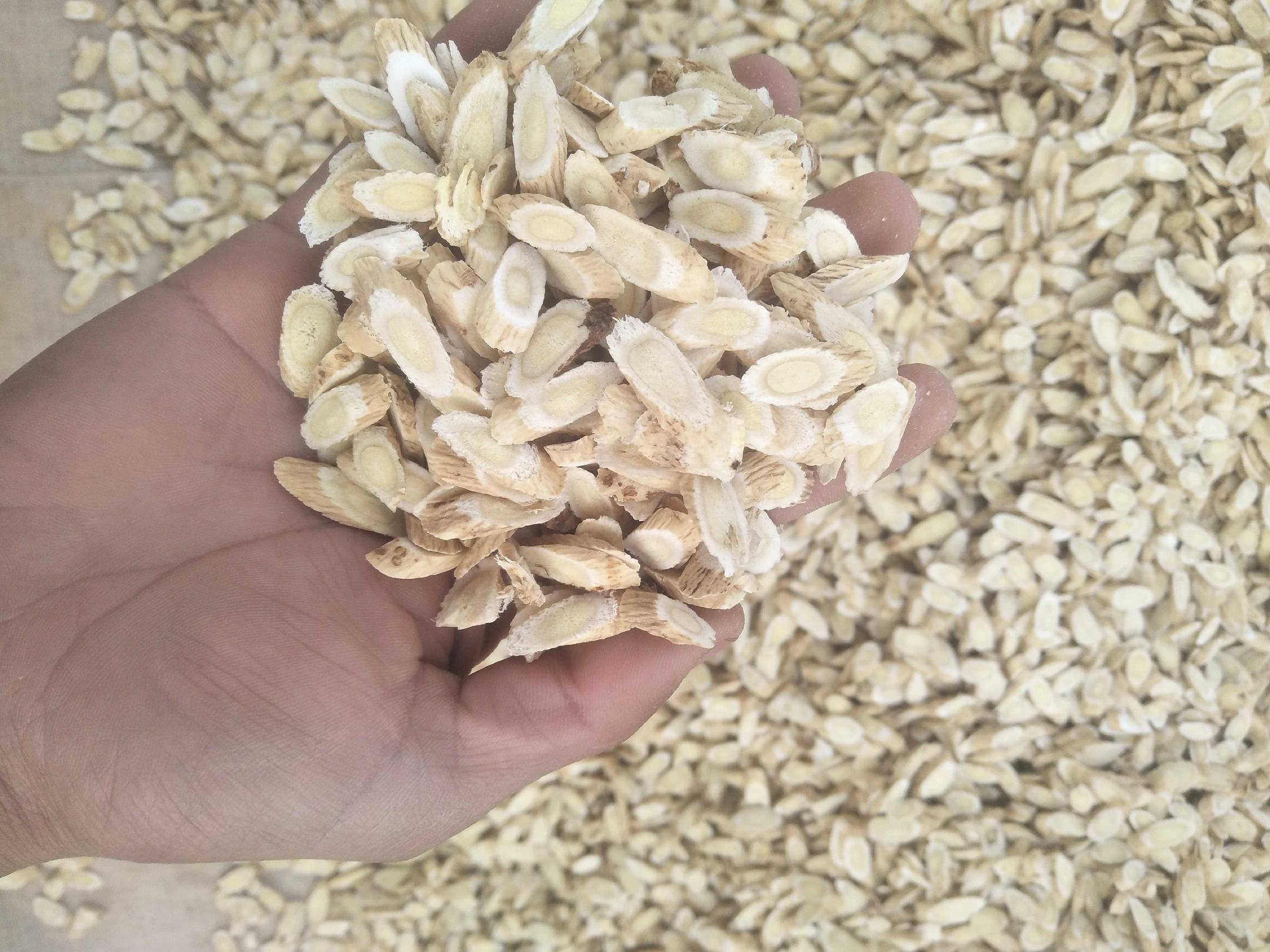 北芪切片、茶包、胶囊等多种形式的深加工产品展示 北芪系列产品展示