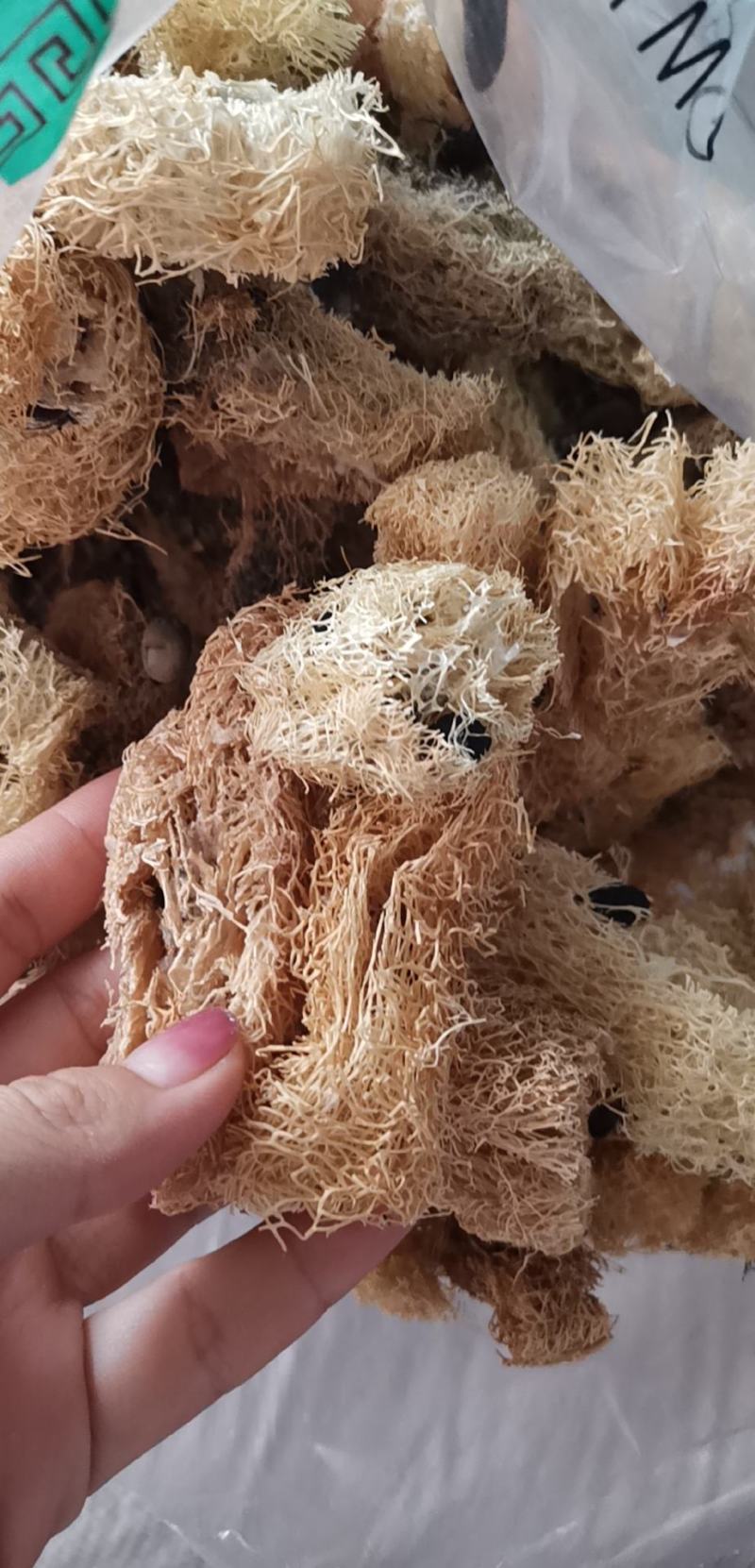 丝瓜络批发丝瓜络产地一手货源品质保证可批发零售
