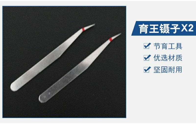 工具养蜂工具育王全套棒移虫针王台保护罩蜜蜂蜂箱包蜂箱