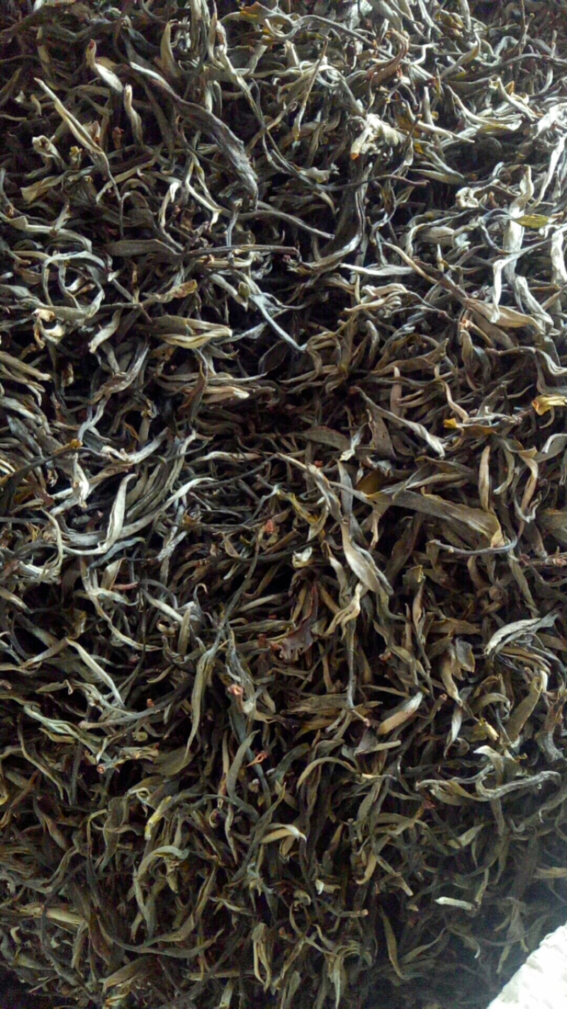 古树茶纯手工制作质量假一赔十