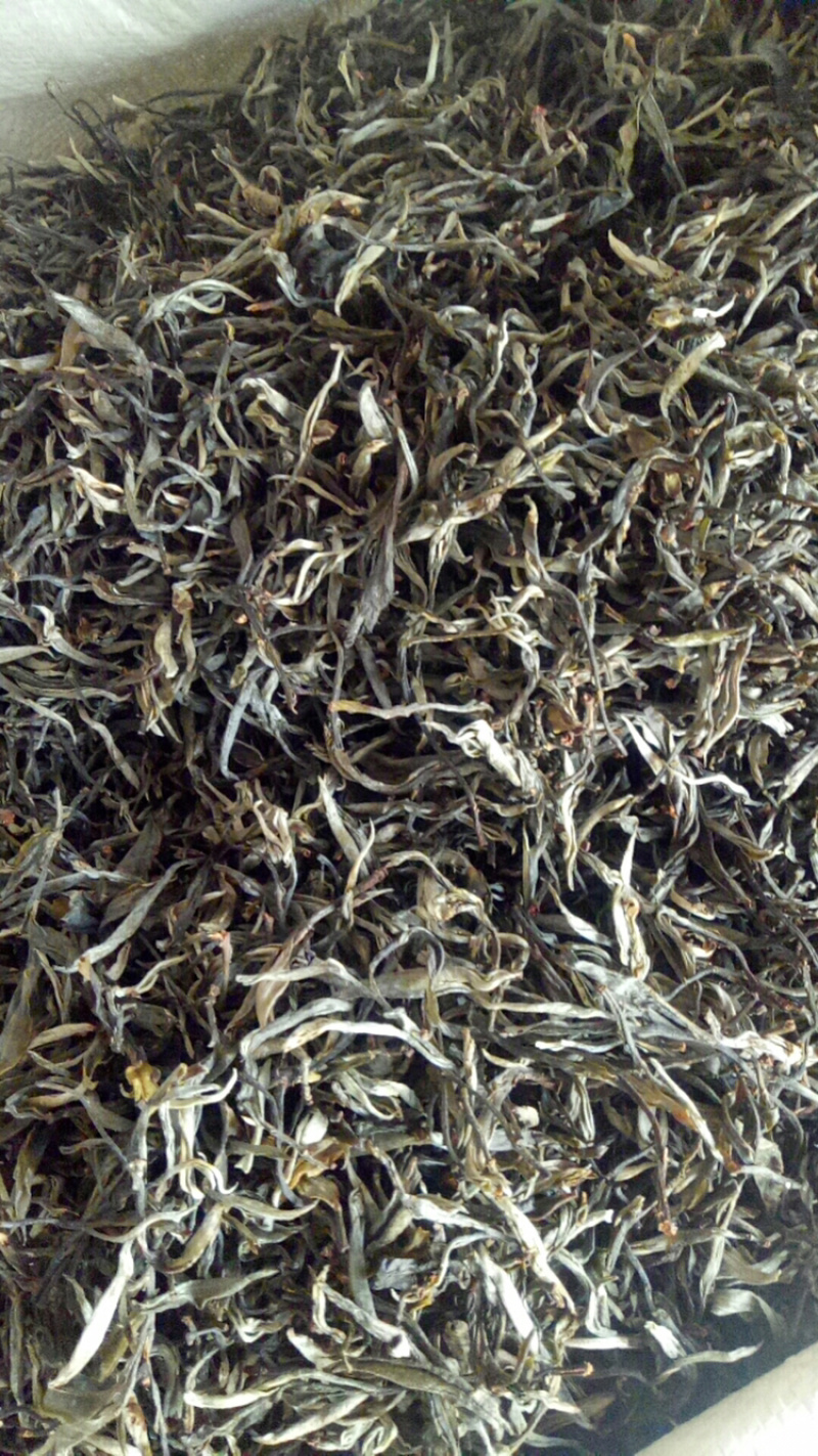 古树茶纯手工制作质量假一赔十