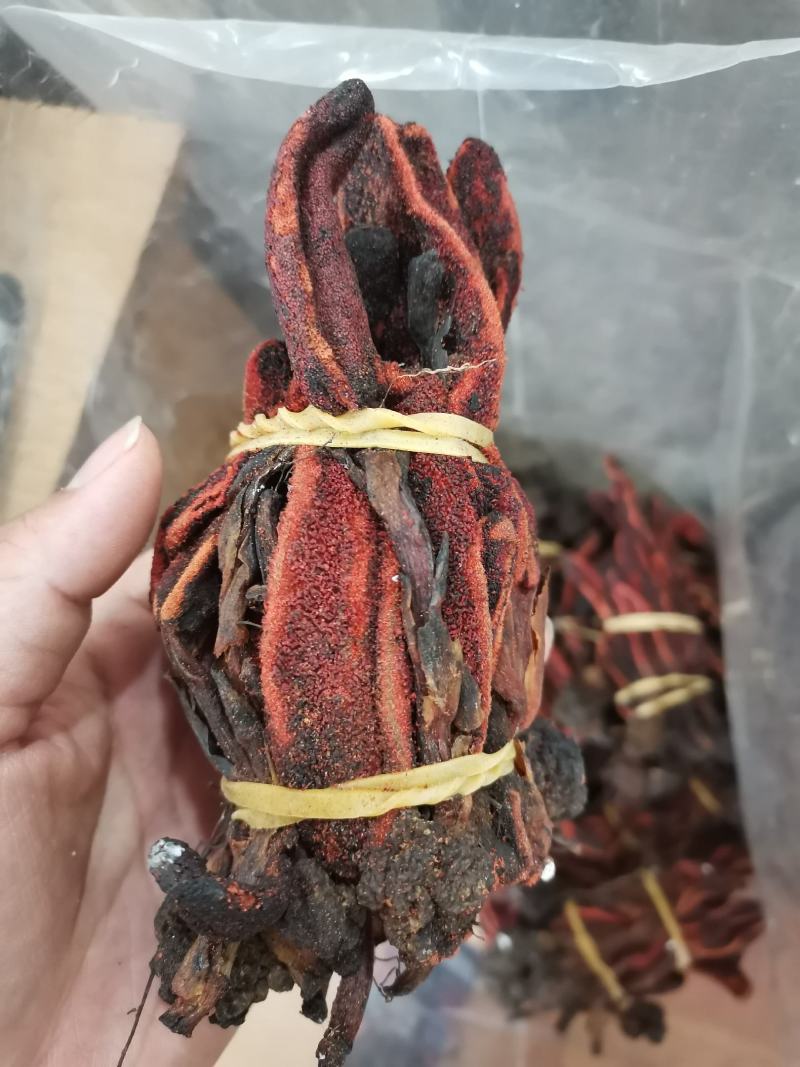 回春草大条顶天柱不老草云南草苁蓉包邮泡酒料泡水