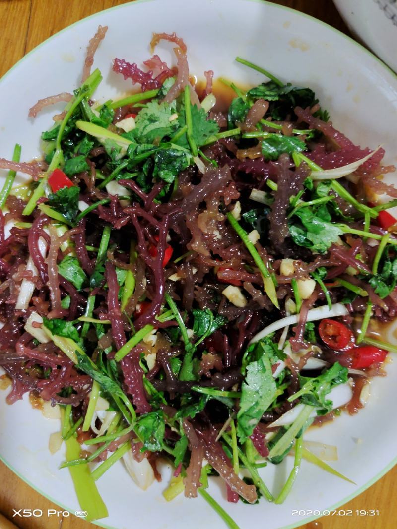 红珊瑚、绿珊瑚，酒店特色食材