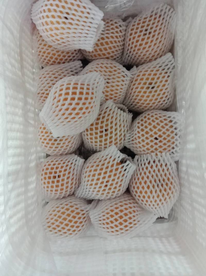 秋月梨，无沙，口感脆甜，汁多味美，200克起步，价格美丽