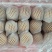 秋月梨，无沙，口感脆甜，汁多味美，200克起步，价格美丽