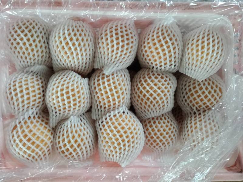 秋月梨，无沙，口感脆甜，汁多味美，200克起步，价格美丽