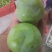 青翠李子长期稳定