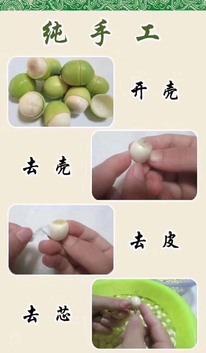 鲜莲_草莲-白莲-干莲-红莲