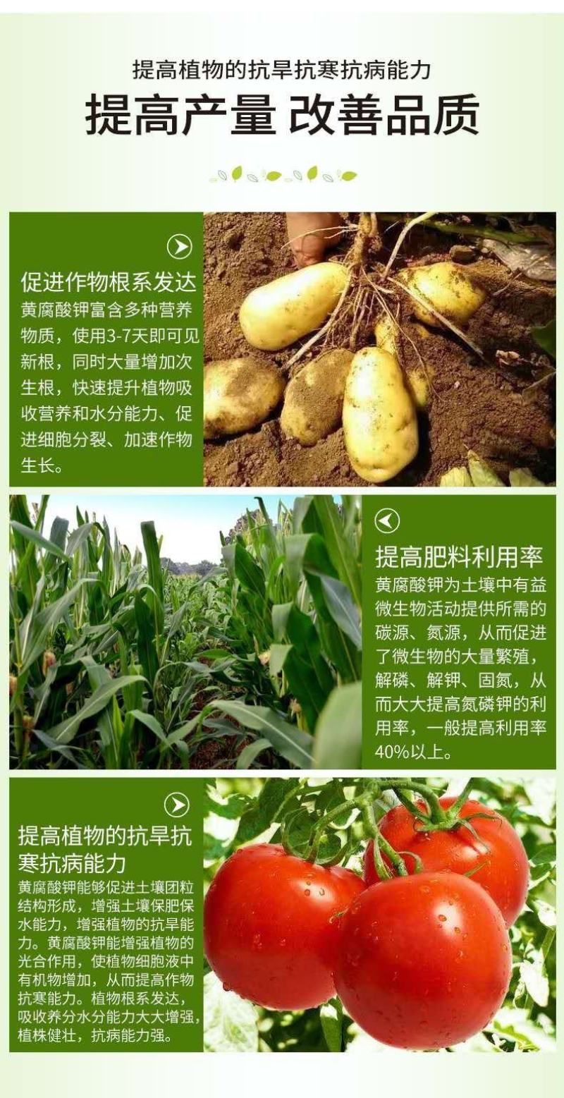 新疆矿源黄腐酸钾促生新根提苗壮棵提高品质生根粉