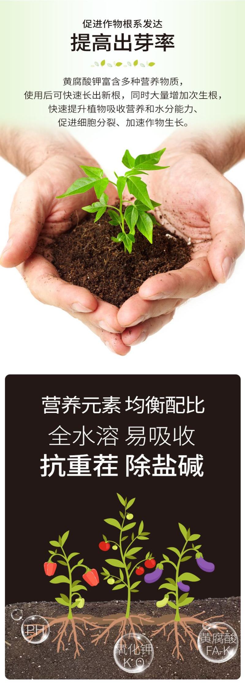 新疆矿源黄腐酸钾促生新根提苗壮棵提高品质生根粉