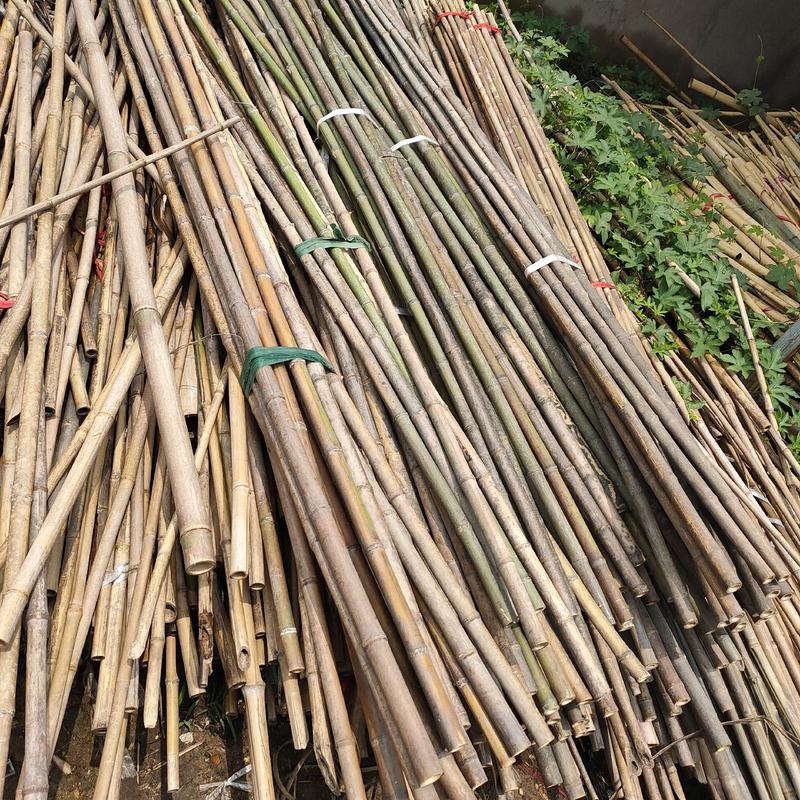竹杆子搭架竹竿菜园搭架豆角架黄瓜丝瓜架园艺小竹竿细