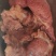 熟驴肉马肉，物美价廉，货真价实