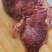 熟驴肉马肉，物美价廉，货真价实