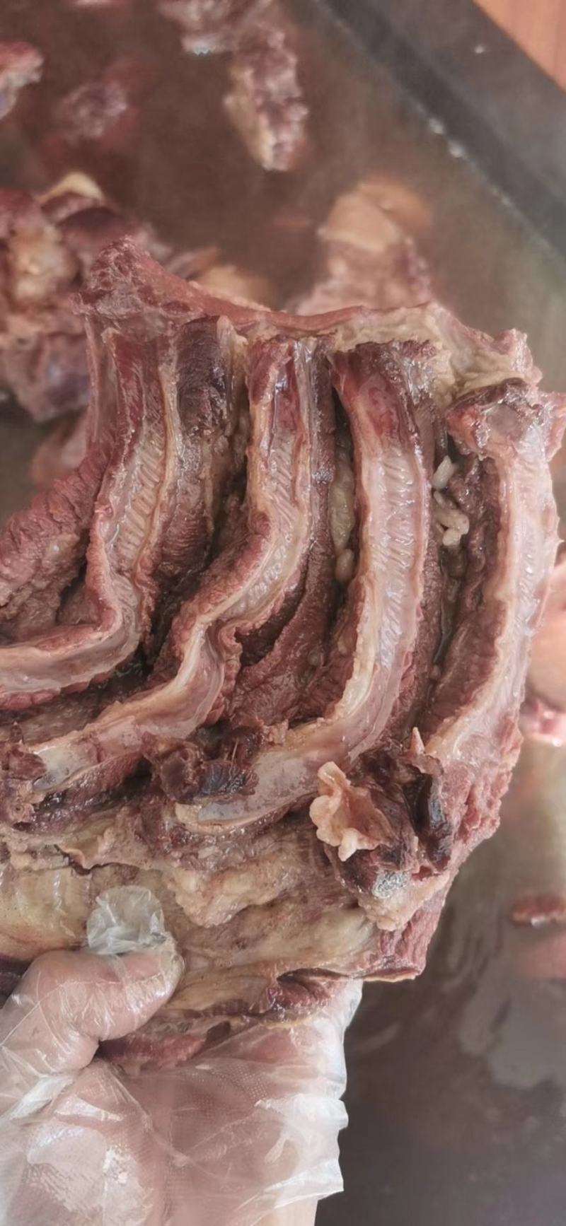 熟驴肉马肉，物美价廉，货真价实