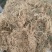 半边莲～水洗货新货～量大优惠～1公斤起售～欢迎咨询采购