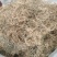 半边莲～水洗货新货～量大优惠～1公斤起售～欢迎咨询采购