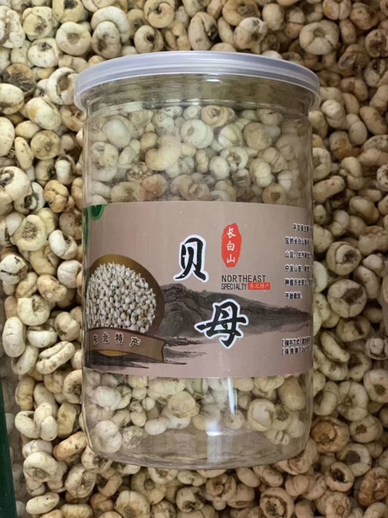 【长白山】贝母野生贝母