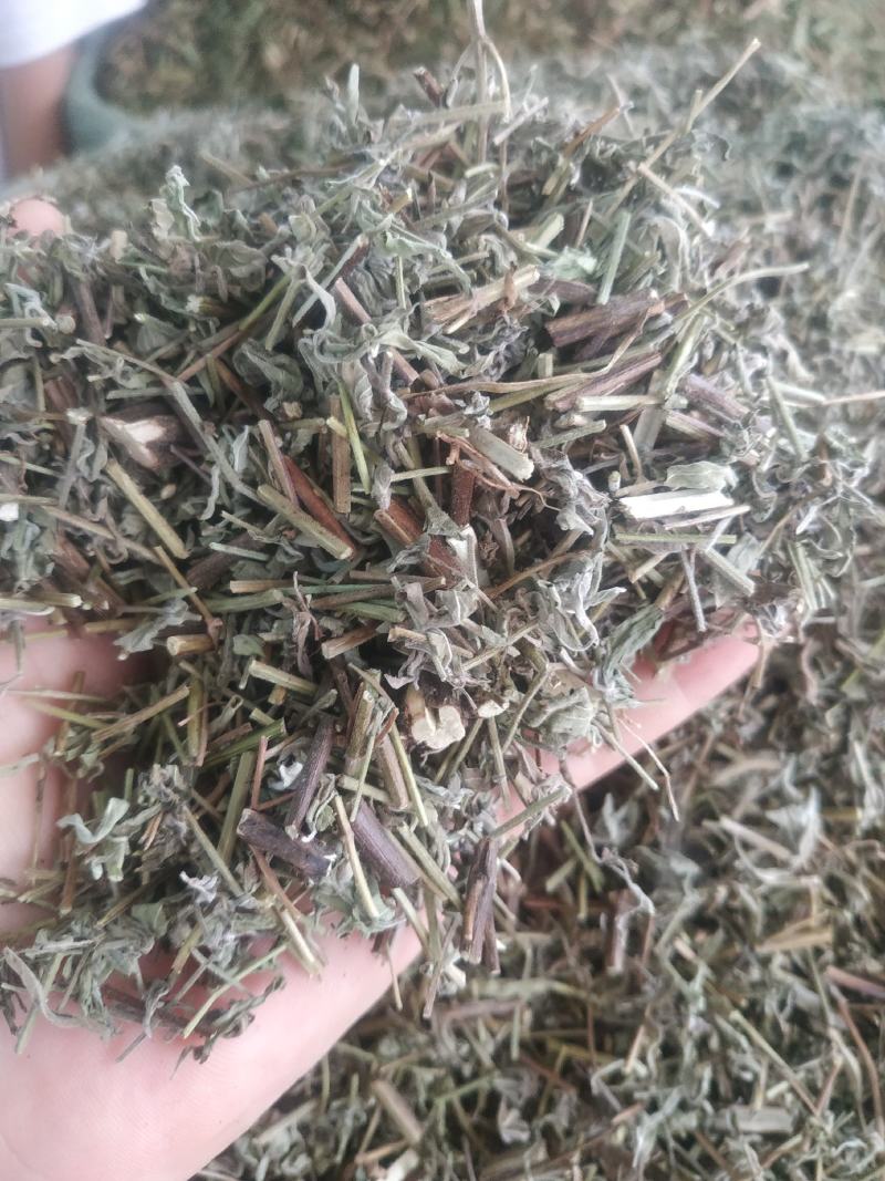 香薷草～新货~涨价中～量大优惠~一公斤起售~