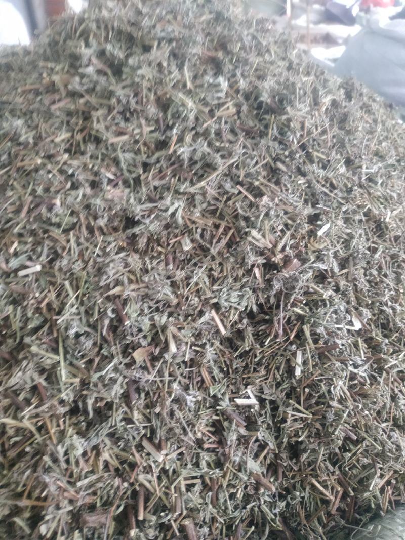 香薷草～新货~涨价中～量大优惠~一公斤起售~