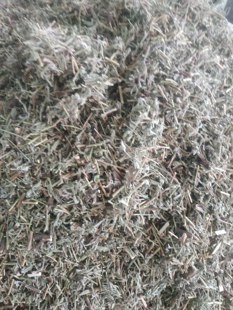 香薷草～新货~涨价中～量大优惠~一公斤起售~
