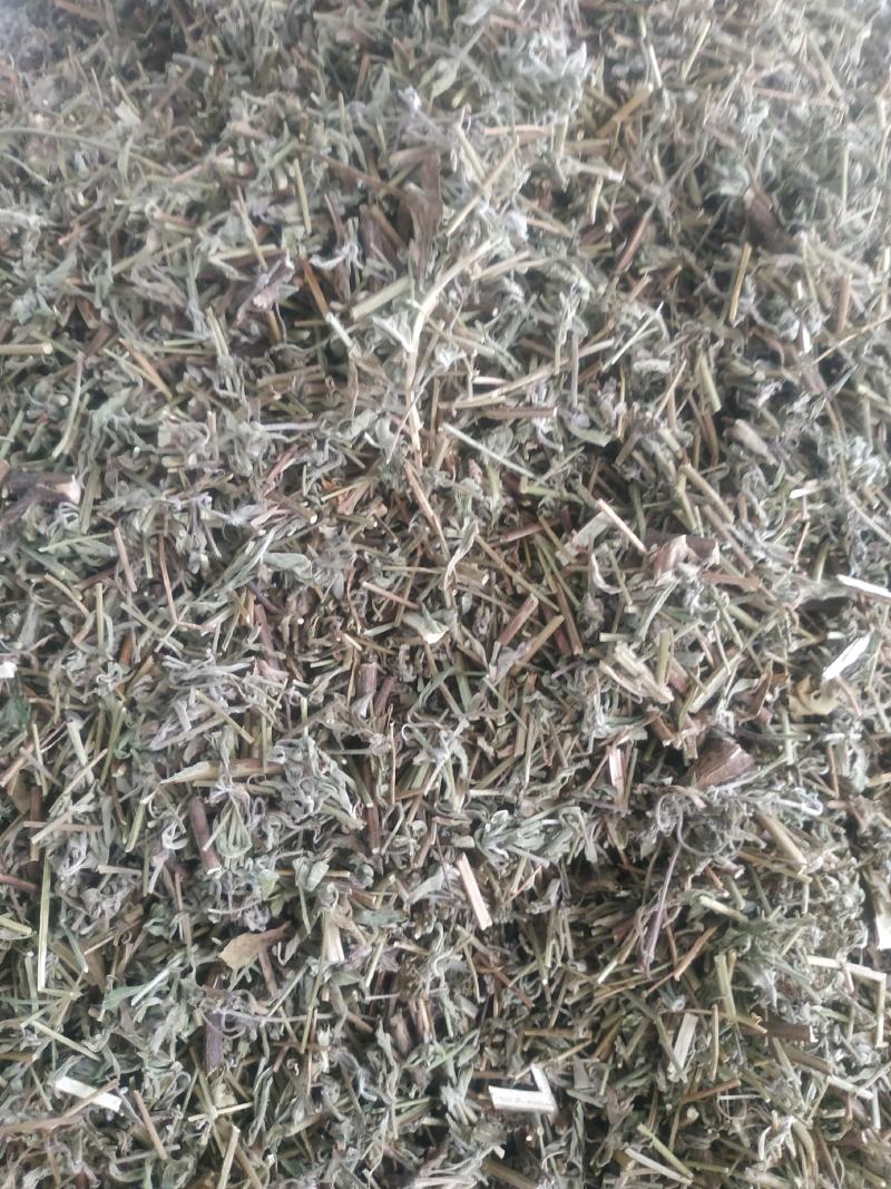 香薷草～新货~涨价中～量大优惠~一公斤起售~