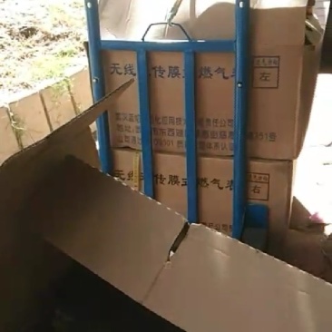 新鲜的绿壳土鸡蛋，支持一件代发，欢迎电商，微商，抖商釆购