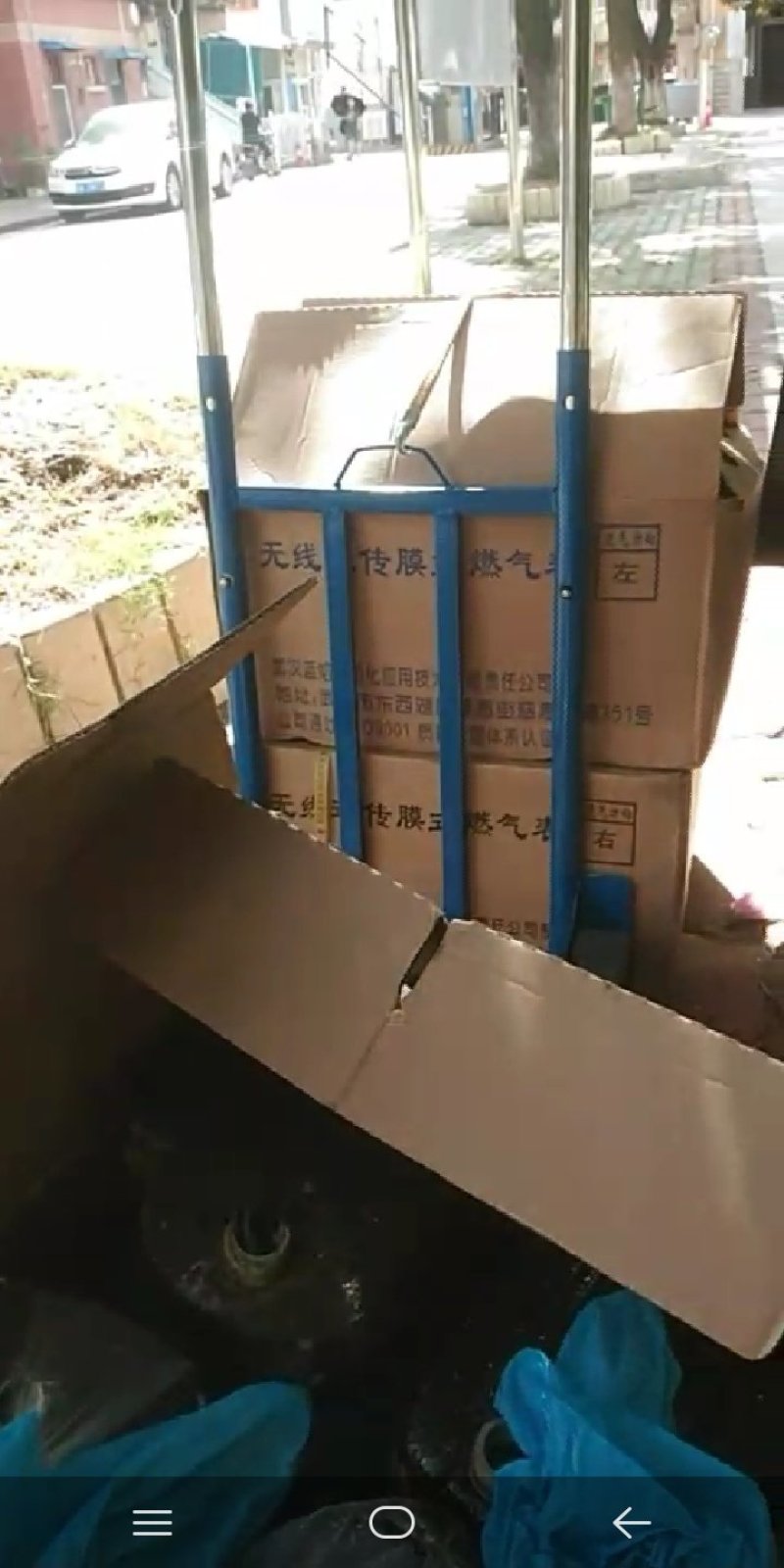 新鲜的绿壳土鸡蛋，支持一件代发，欢迎电商，微商，抖商釆购