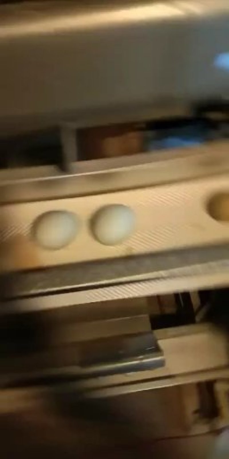 新鲜的绿壳土鸡蛋，支持一件代发，欢迎电商，微商，抖商釆购