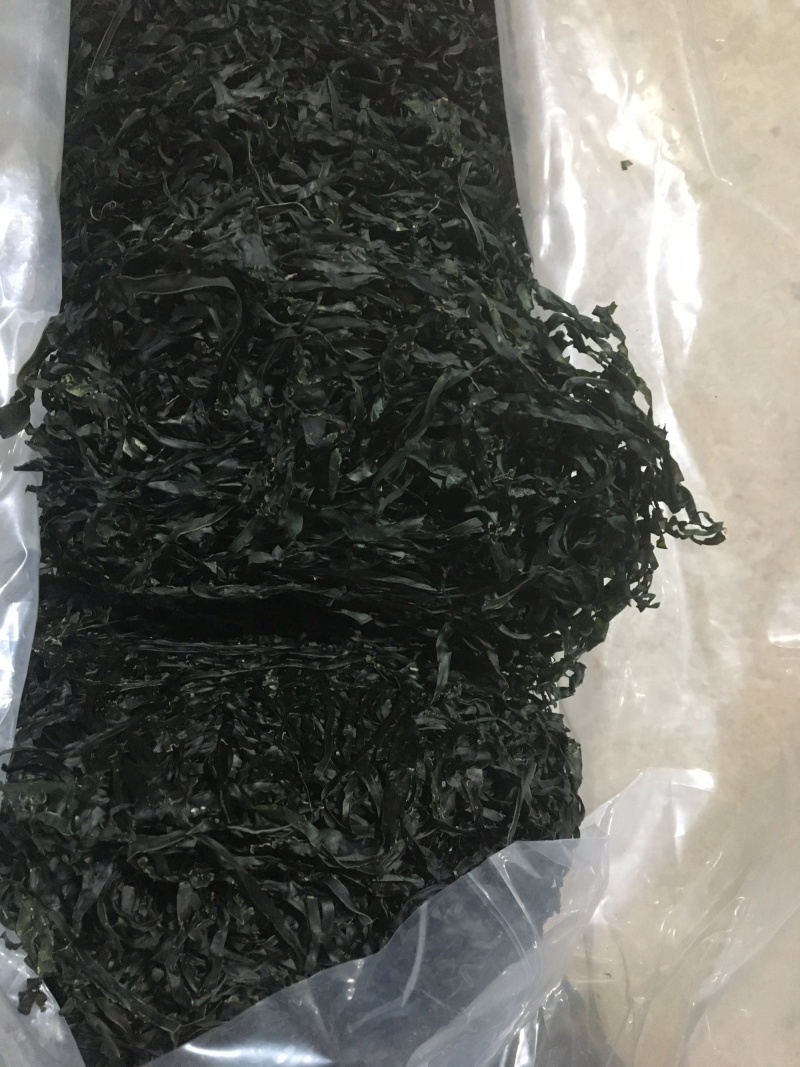 烘干海带丝，圆盘海带，1:15泡发率