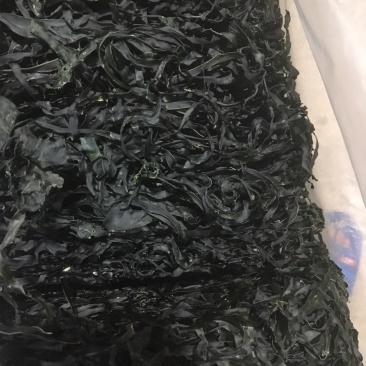 烘干海带丝，圆盘海带，1:15泡发率