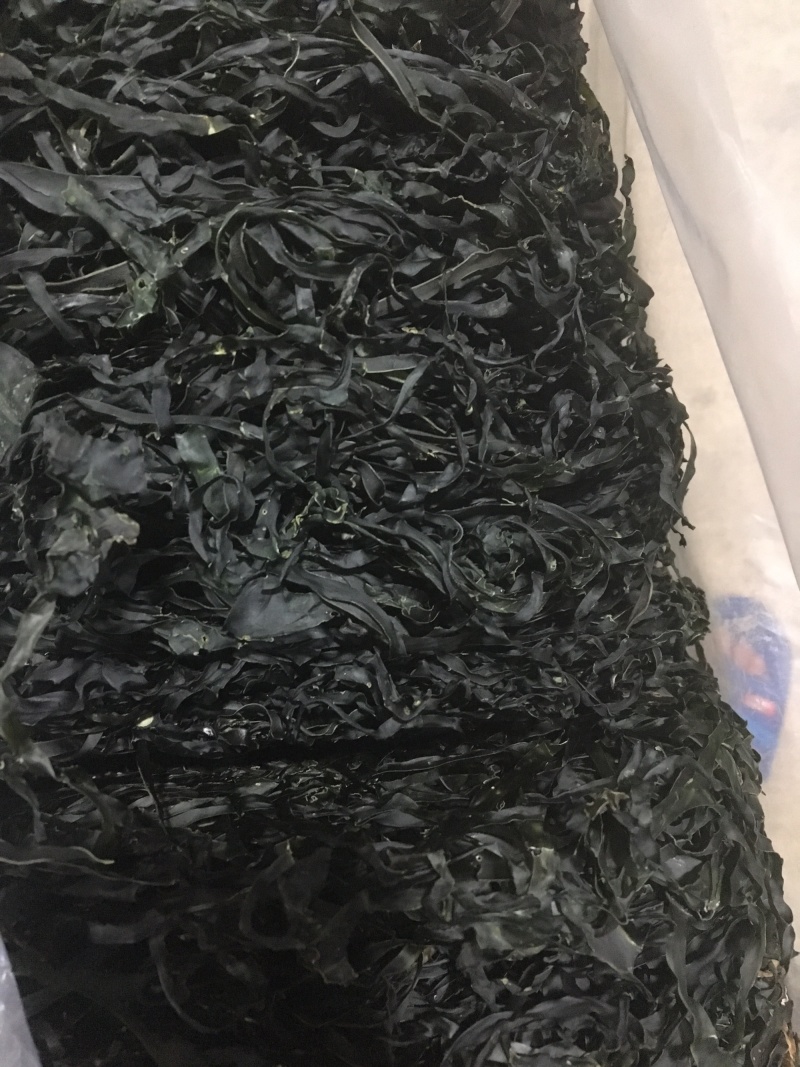 烘干海带丝，圆盘海带，1:15泡发率