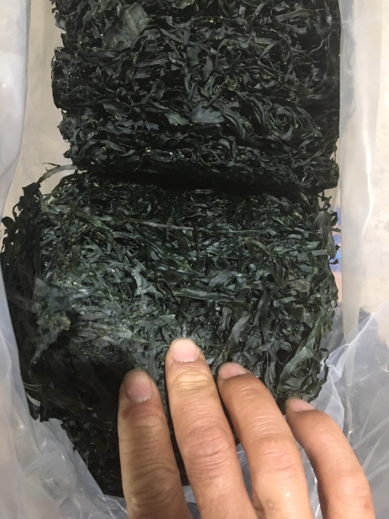 烘干海带丝，圆盘海带，1:15泡发率