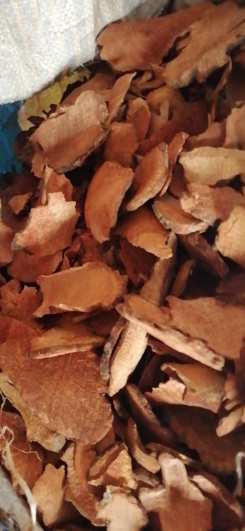土茯苓干片红心木质大量供应