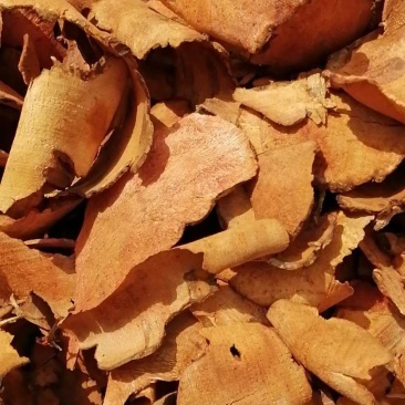 土茯苓干片红心木质大量供应