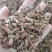 茜草根～新货大茜草35～小32～1公斤起售~