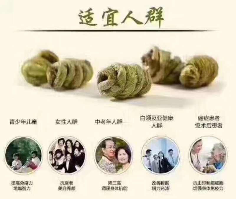 铁皮石斛足干靓货厂家直供批发零售铁皮石斛枫斗
