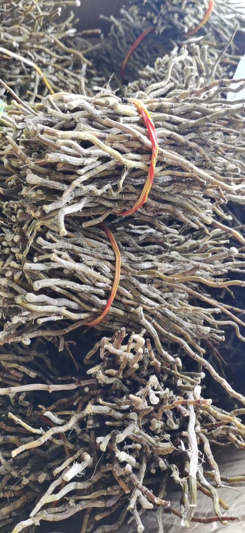 铁皮石斛足干靓货厂家直供批发零售铁皮石斛枫斗