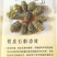铁皮石斛足干靓货厂家直供批发零售铁皮石斛枫斗
